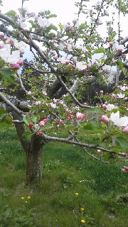 2014043005430000.jpg