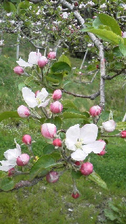 2014043005440000.jpg