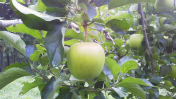 2014072620400000.jpg