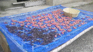 2014082920340000.jpg