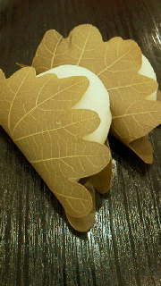2011042901330000.jpg