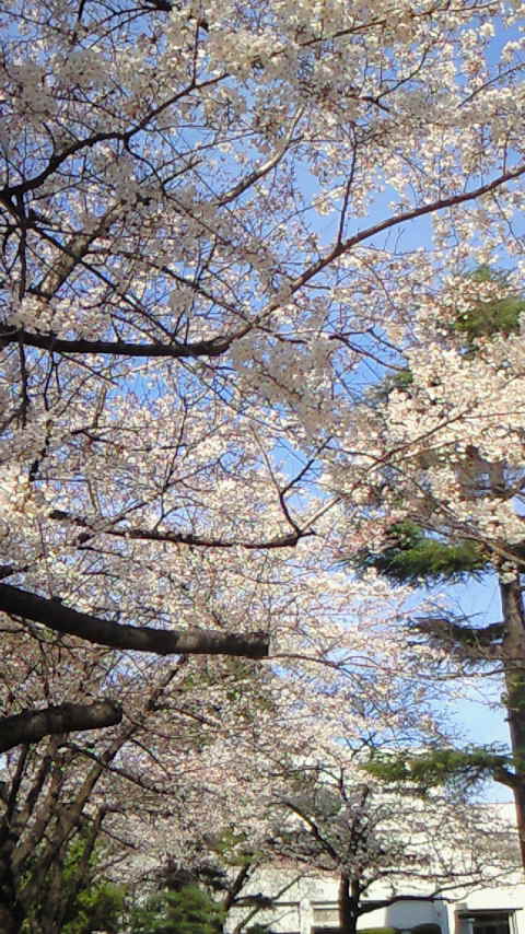 200903291340000.jpg