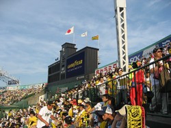 阪神