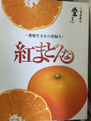 お歳暮