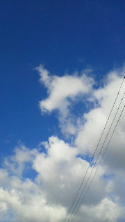 201011181215002.jpg