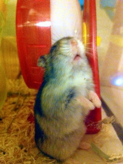 image001.jpg