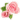 NoName_0699.gif
