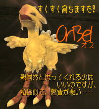 アンタはお婿に行っとくれ‥‥。・゚・(ノд`)・゚・。