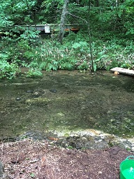 IMG_5008.JPG
