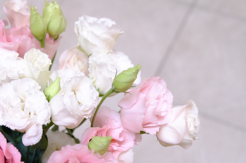 トルコキキョウ 花を楽しむブログ