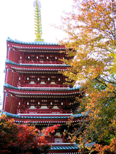 本土寺 紅葉は 見頃です アジサイ寺で有名だけども紅葉もgoodです 近場で楽しめる紅葉スポットです キタナラライフ 北習志野ナビ