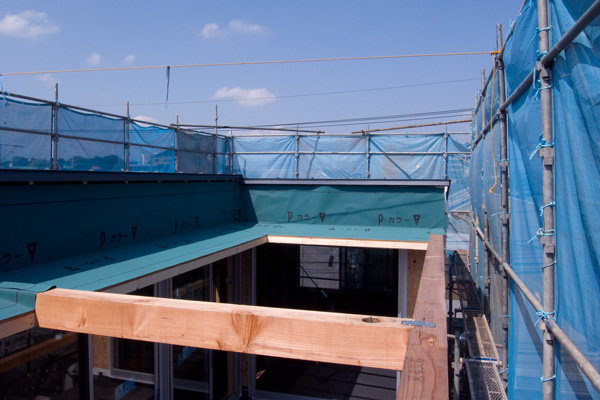 20100606.jpg