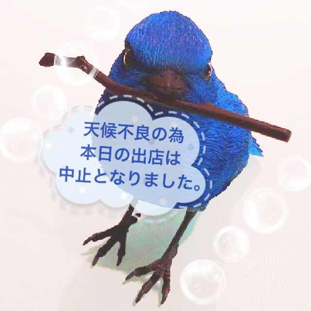 1507935250107.jpg