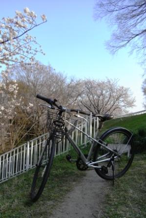 クロスバイクと健康