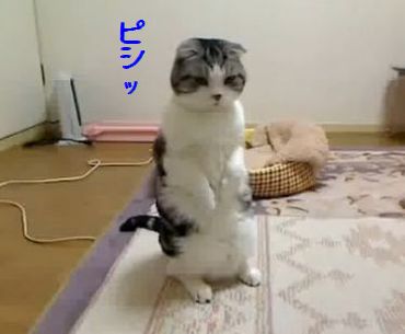 5秒で細くなるストレッチ