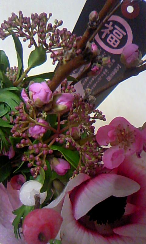 110221_0136~01.jpg