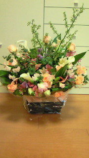 201002141457000.jpg