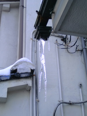 軒先の