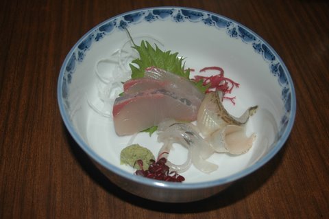 サヨリ 3