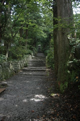 阿弥陀堂へ続く石段