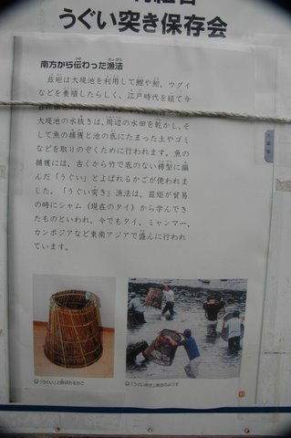 ウグイつき漁の説明 2