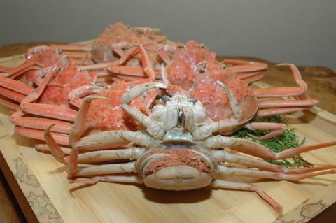 湯がいた親ガニ