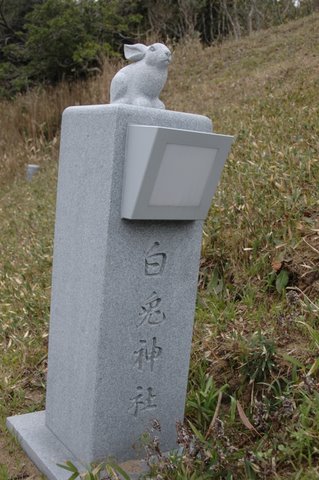 うさぎ