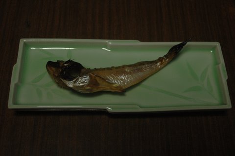 白はた4