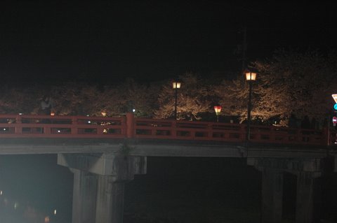 夜桜