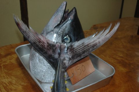マグロの頭