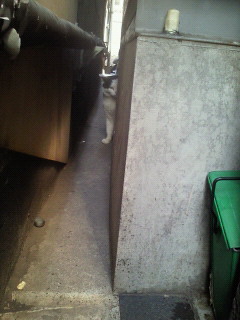 201109091027000.jpg