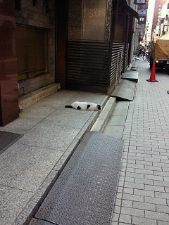 201108291528000.jpg
