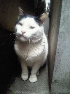 201202151525000.jpg