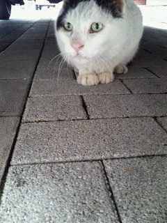 201203081506002.jpg