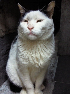 201204051540001.jpg