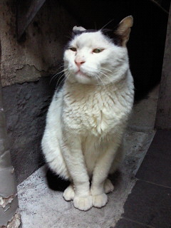 201204051539001.jpg
