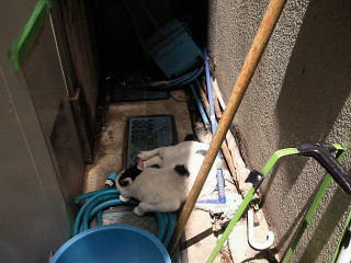 201205231053000.jpg
