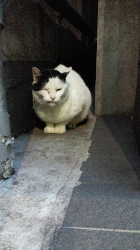 201211271630000.jpg