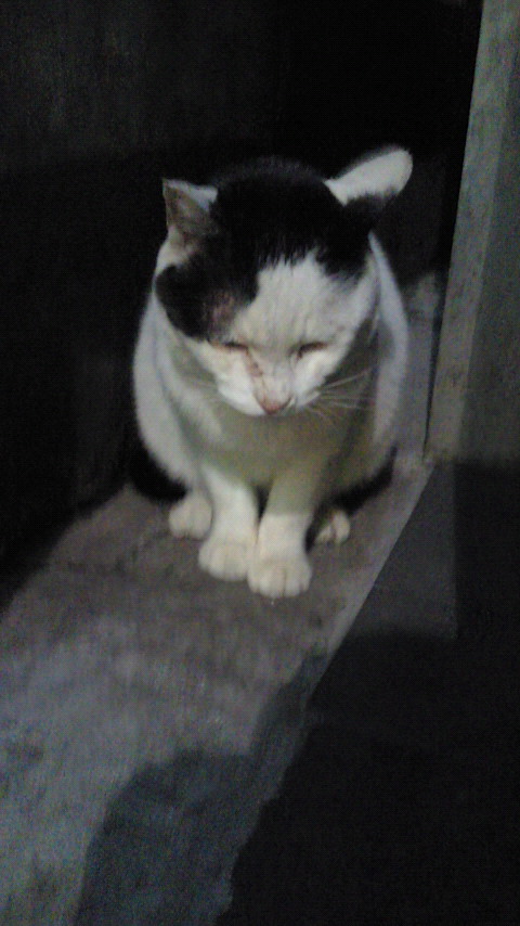 201212201642000.jpg