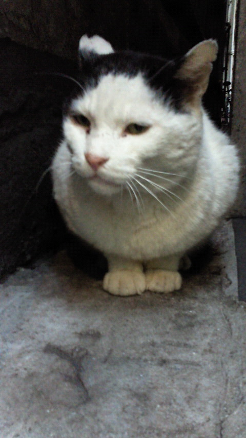 201301241632000.jpg
