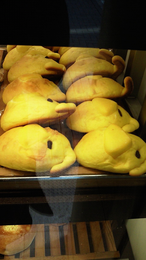 201302011306000.jpg