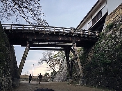 観光の秋 彦根城