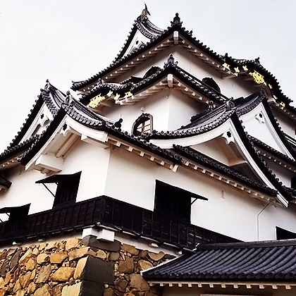 観光の秋 彦根城