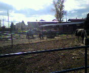 2009110209550000.jpg