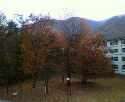 2009110915240000.jpg