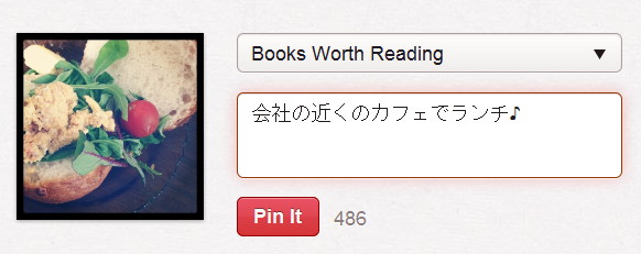 pin_img2.png