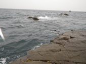 261109-3.JPG