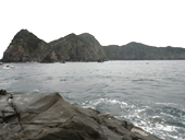 261109-7.JPG