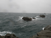 261109-15.JPG