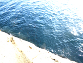 270118-17.JPG
